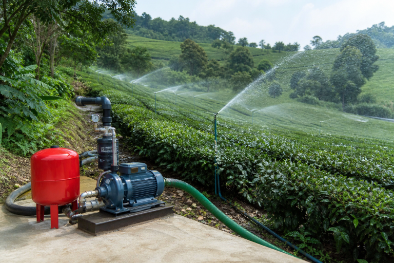 Máy bơm tưới chè tại Hà Nội lắp cho vườn đồi